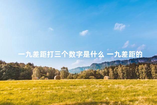 一九差距打三个数字是什么 一九差距的动物的生肖